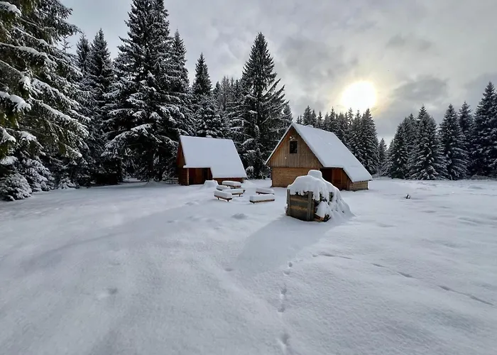 Pod Horou A Za Potokom, Podbanské Pribylina